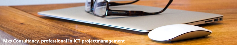MXS Consultancy